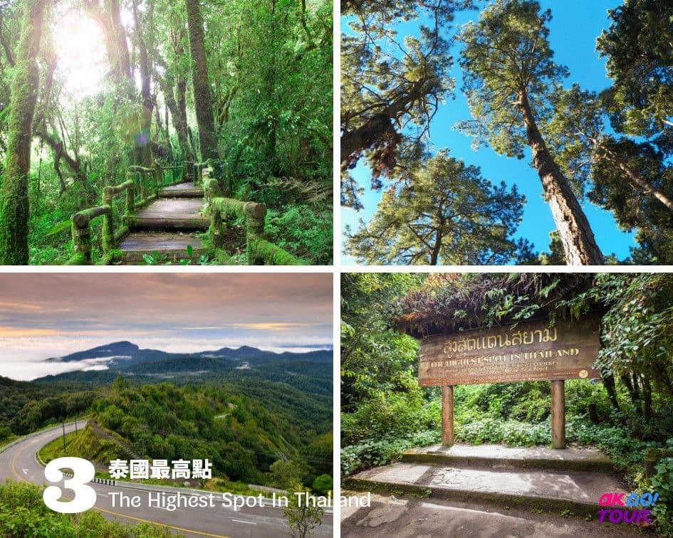 Chiang Mai : Doi Inthanon National Park One Day Tour