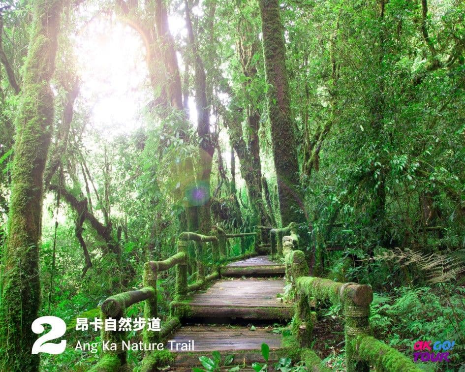 Chiang Mai : Doi Inthanon National Park One Day Tour