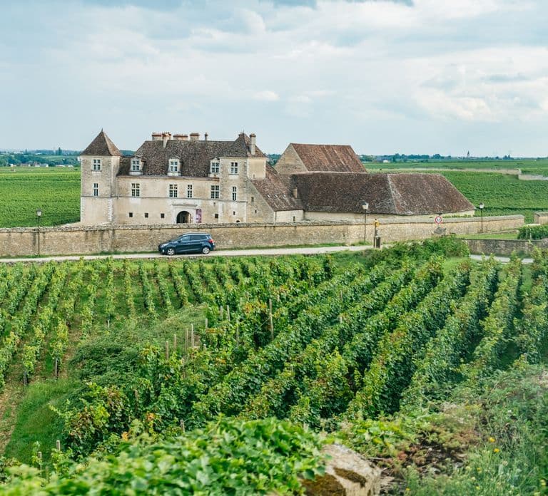 Z Beaune: Wycieczka jednodniowa po Burgundii z 14 degustacjami win