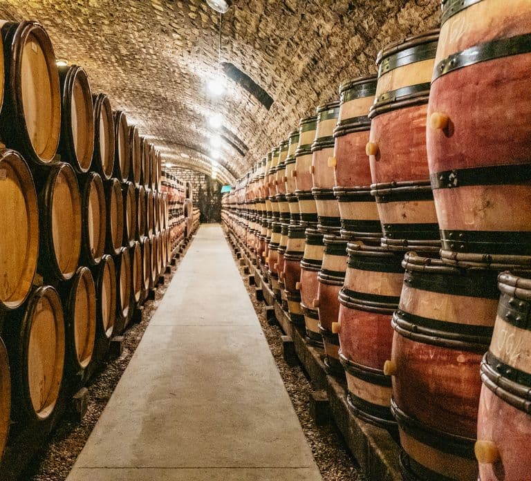 From Beaune: Burgundy Day Trip with 14 Wine Tastings