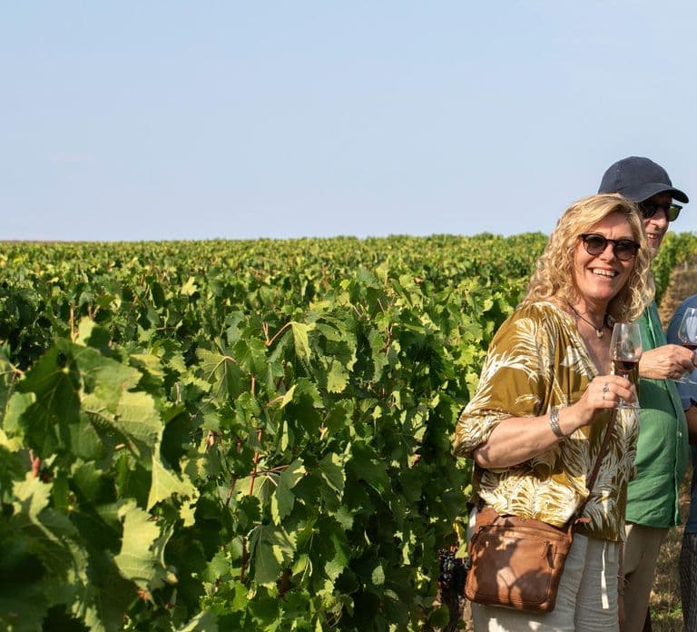 From Bordeaux: Afternoon Saint-Emilion Wine Tasting & snack