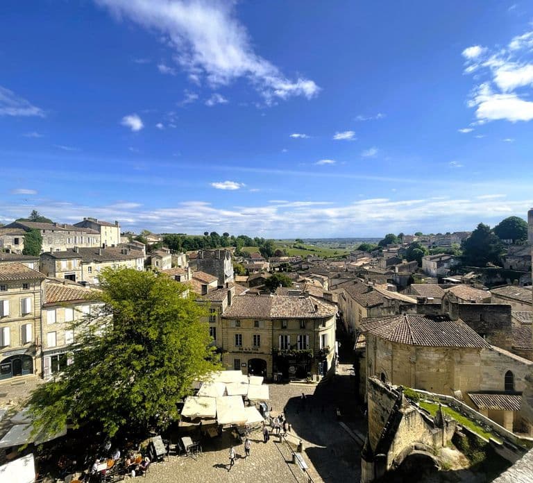 Vanuit Bordeaux: Namiddag wijnproeverij & snack in Saint-Emilion