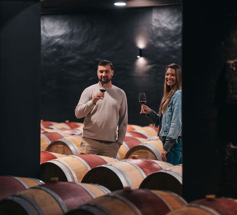 From Bordeaux: Half-Day Saint-Émilion Tour and Wine Tasting