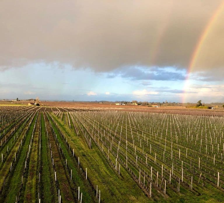 Saindo de Bordeaux: Excursão de meio dia pelos vinhos de Saint-Emilion