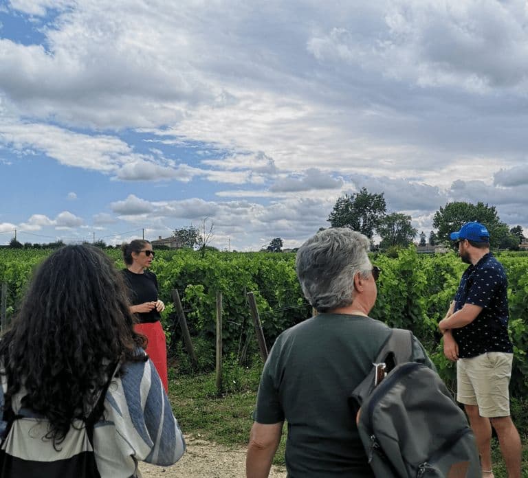 Vanuit Bordeaux: Halve dagtour Saint-Émilion met wijnproeverij