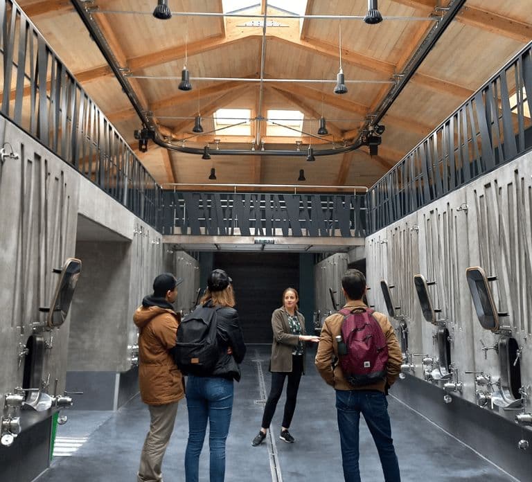 Vanuit Bordeaux: Halve dagtour Saint-Émilion met wijnproeverij