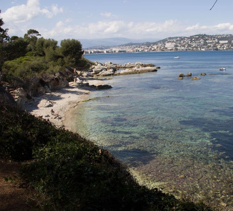 From Cannes: Ferry Tickets to Sainte-Marguerite Island