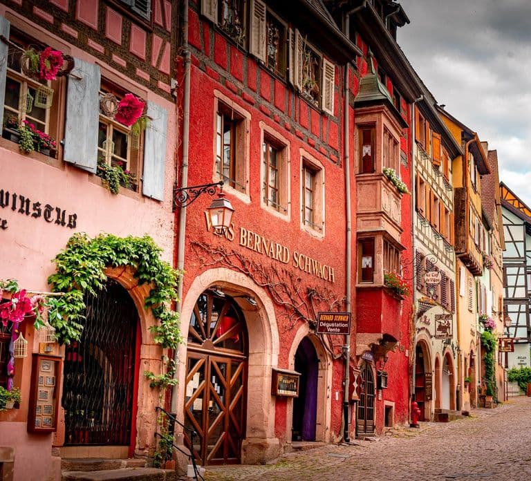 From Colmar: Alsace wine route tour Half Day