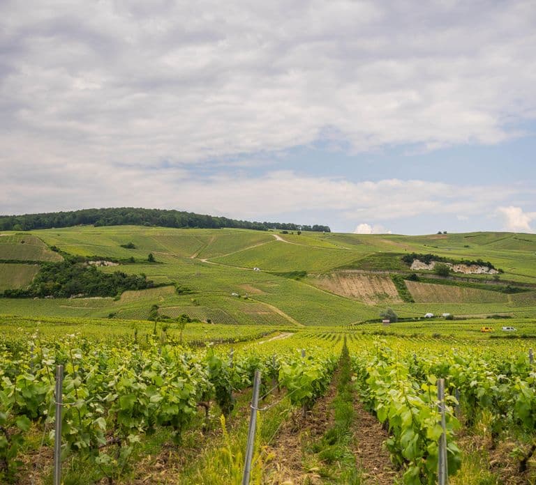Z Epernay: Degustacja szampana w zabytkowym samochodzie