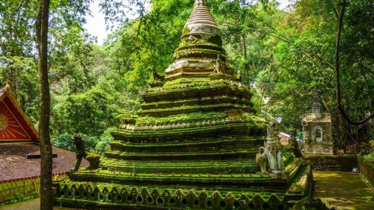 Chiang Mai City Tour : Unveiling Northern Temple Charms