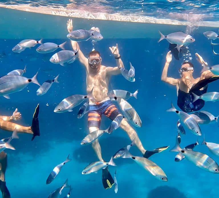 From Marseille: Iconic Calanques Boat Tour with Swimming