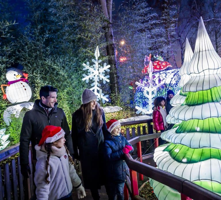 Paris: Parc Astérix 1-Day Ticket