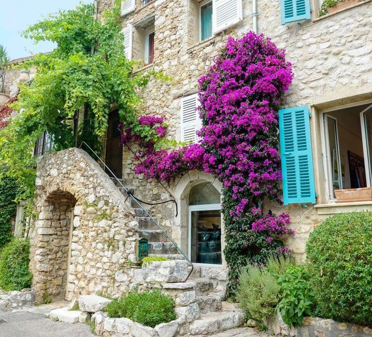 From Nice: Cannes, Antibes & St Paul de Vence Half-Day Tour
