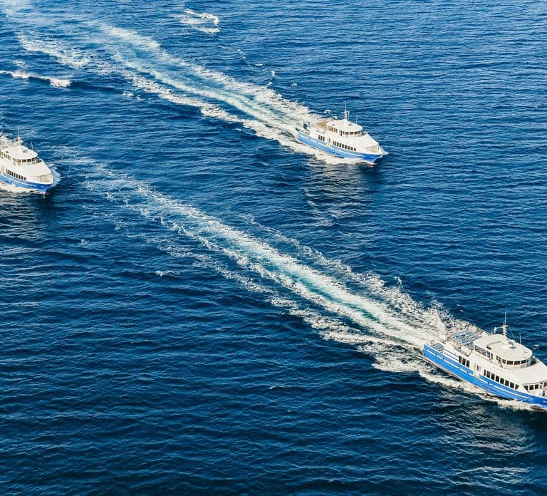From Nice: Round-Trip Transportation to Saint Tropez by Boat