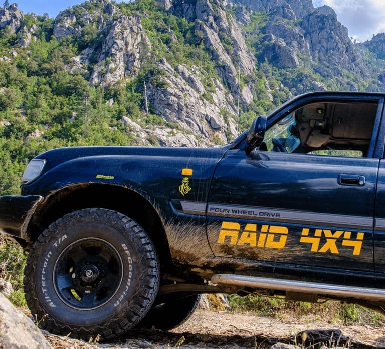 Porto Vecchio: Excursão 4x4 pela Floresta de Ospedale e Bavella Needles