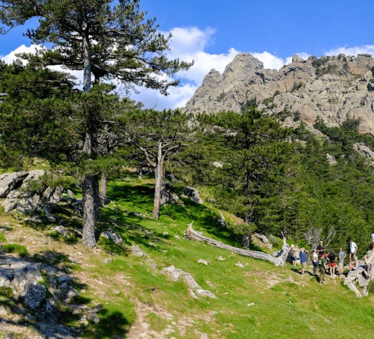 Porto Vecchio: Ospedale Forest & Bavella Needles 4x4-Tour