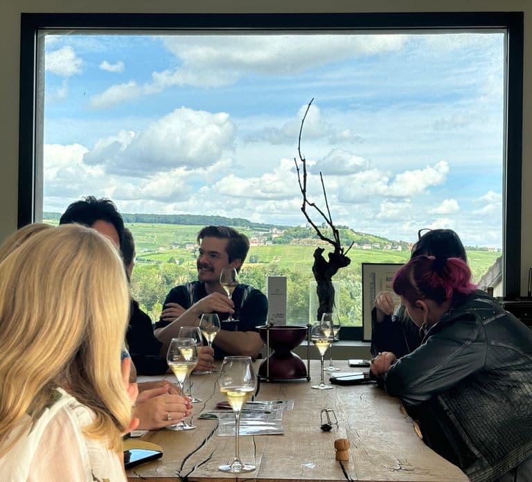 Reims: Veuve Clicquot 및 가족 운영 와이너리 일일 투어 & 점심 식사