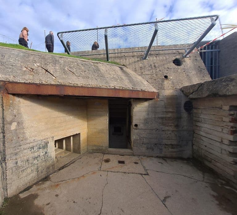 Vanuit Parijs: Historische dagtour naar de D-Day stranden van Normandië
