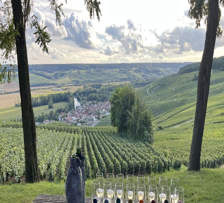 Da Parigi: tour di un'intera giornata a Reims con degustazione di Champagne