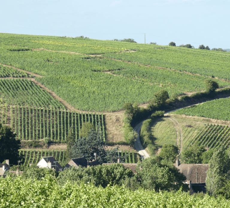 De Paris: Excursão de um dia a SANCERRE com 10 degustações e almoço