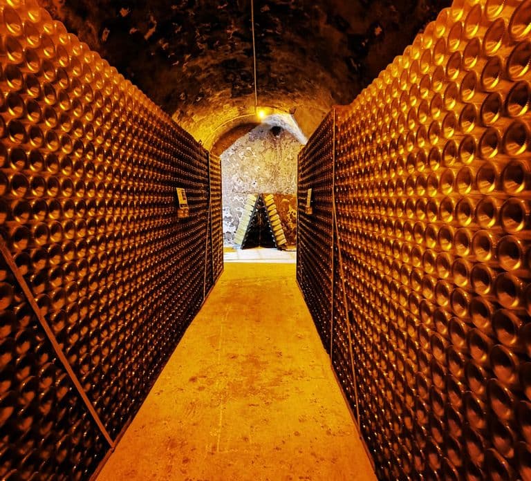 From Reims: Day Trip to Veuve Clicquot Family Grower & Lunch