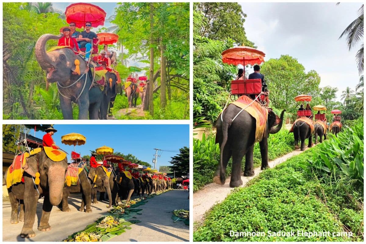Classic Thailand Day Tour - Damnoen Saduak Floating Market & Elephant Camp