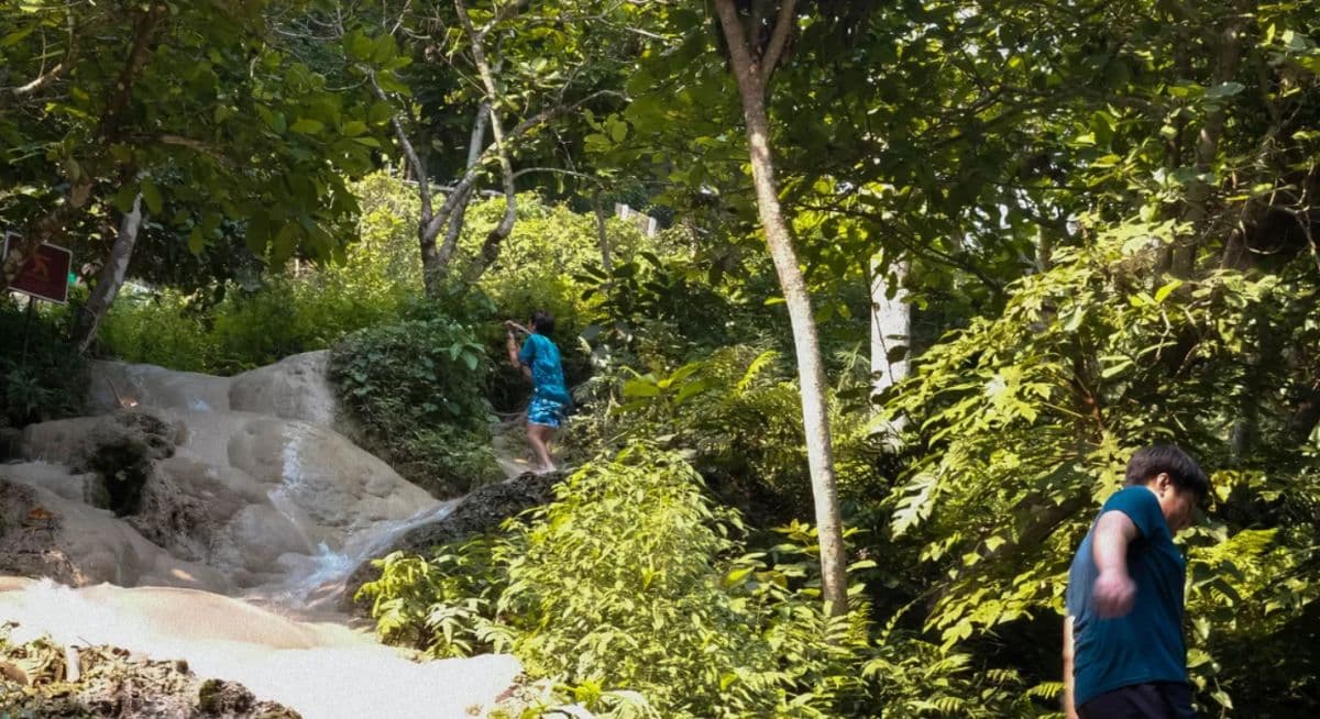Chiang MaiのユニークなSticky Waterfallでクライミング体験