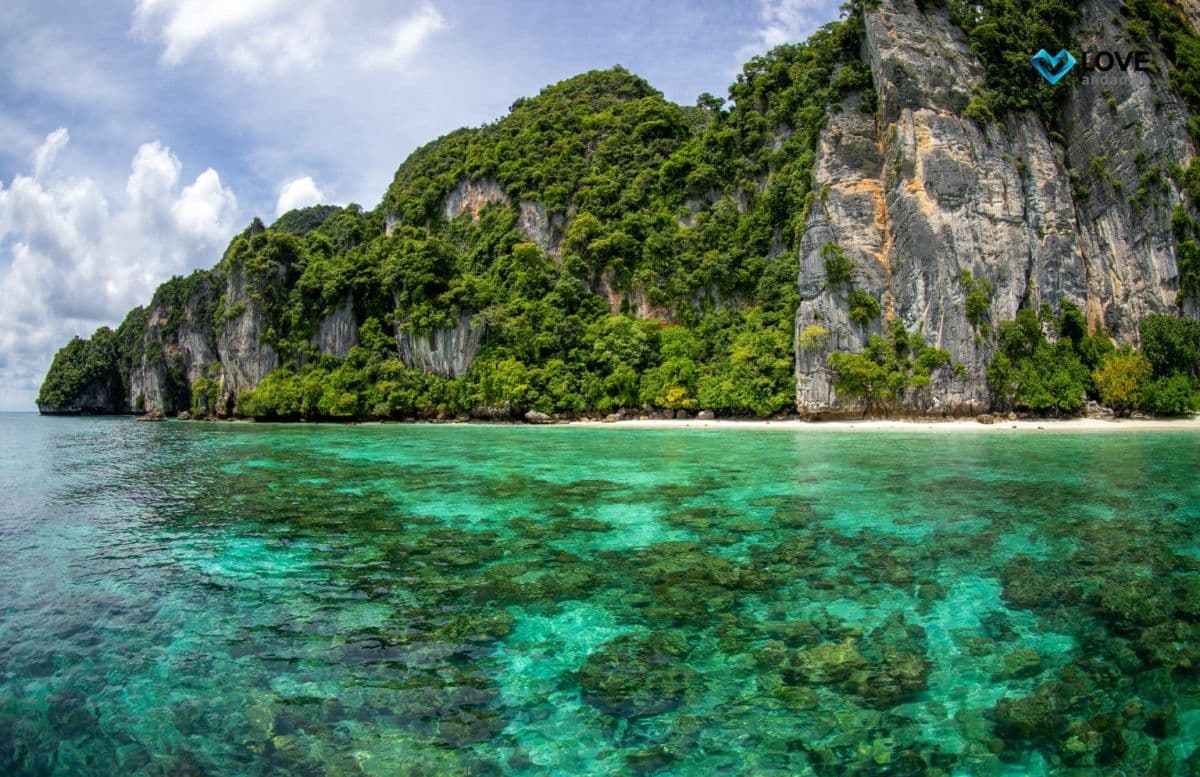 Day Trip Phiphi - Maiton Sunset (Include Long tail -boat)  - NO TRANSFER
