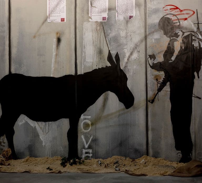 Paris: "The World of Banksy" Musée Banksy Entry Ticket