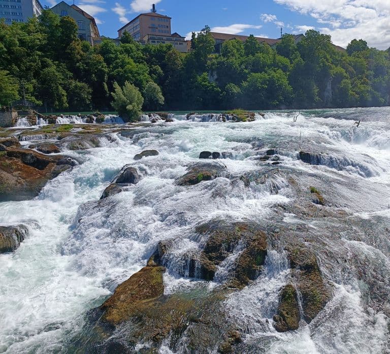 Rhine Falls & Stein am Rhein: Private Tour with a Local