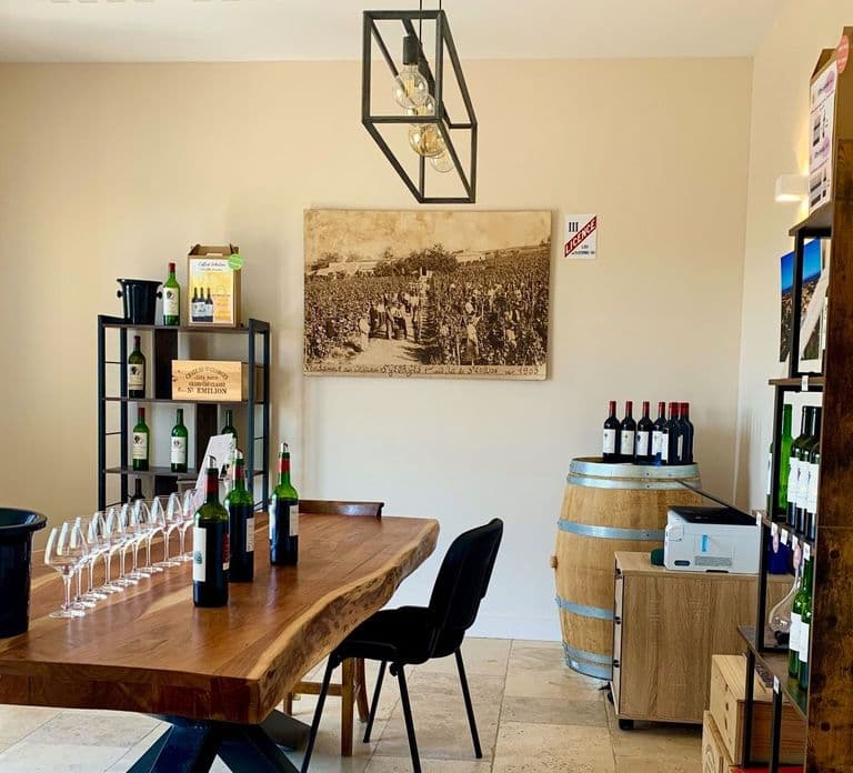 Saint-Émilion: Excursão aos Vinhedos de Bordeaux e Degustação de Vinhos