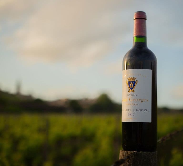 Saint-Émilion: Excursão aos Vinhedos de Bordeaux e Degustação de Vinhos