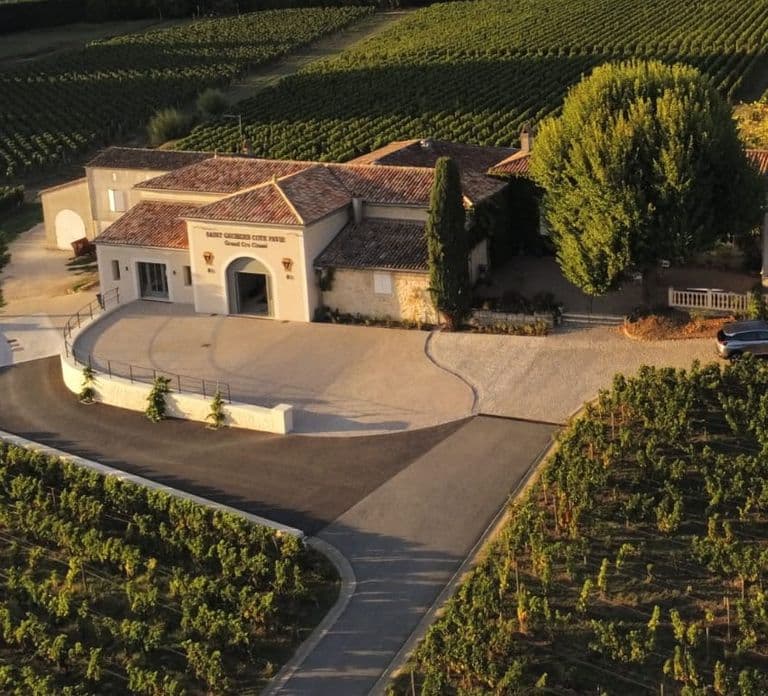 Saint-Émilion: Bordeaux Vineyard Tour and Wine Tasting