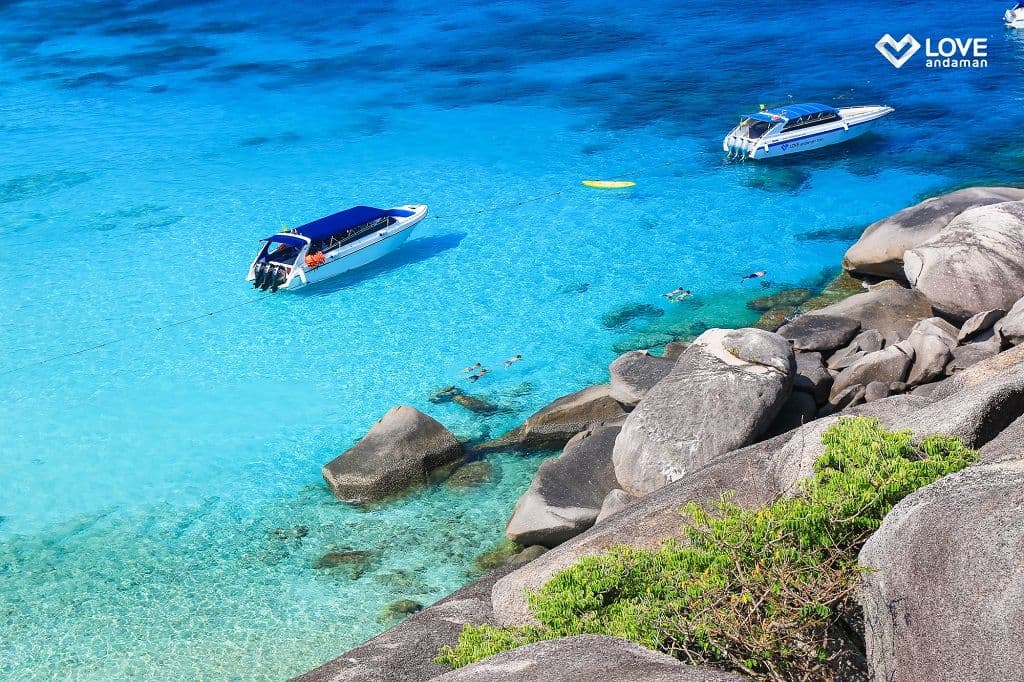 Day Trip Similan - INCLUDE SHARE TRANSFER