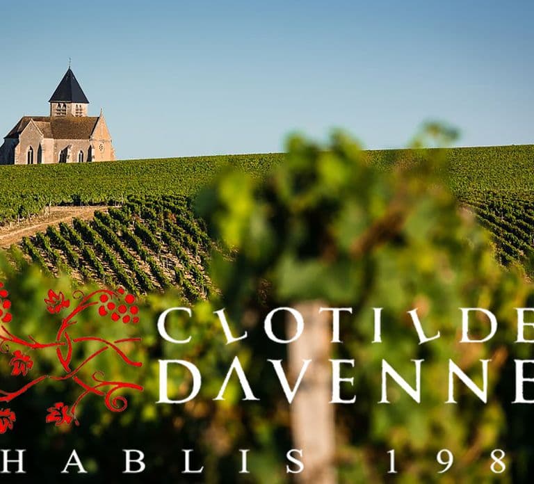 Visite et Dégustation Chablis Clotilde Davenne en français