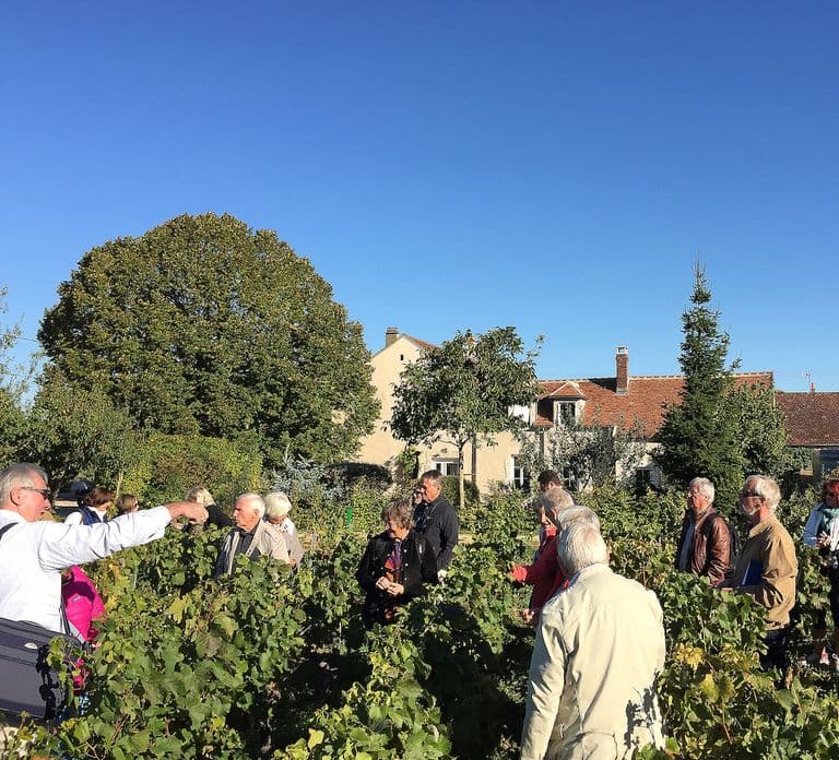 Visite et Dégustation Chablis Clotilde Davenne en français
