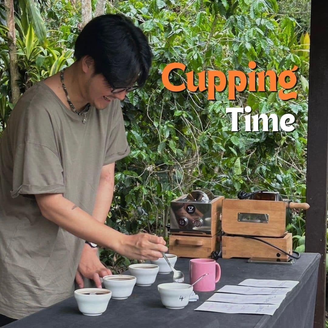 Chiang Mai Organic Coffee Farm Tour by ZEIT Roaster