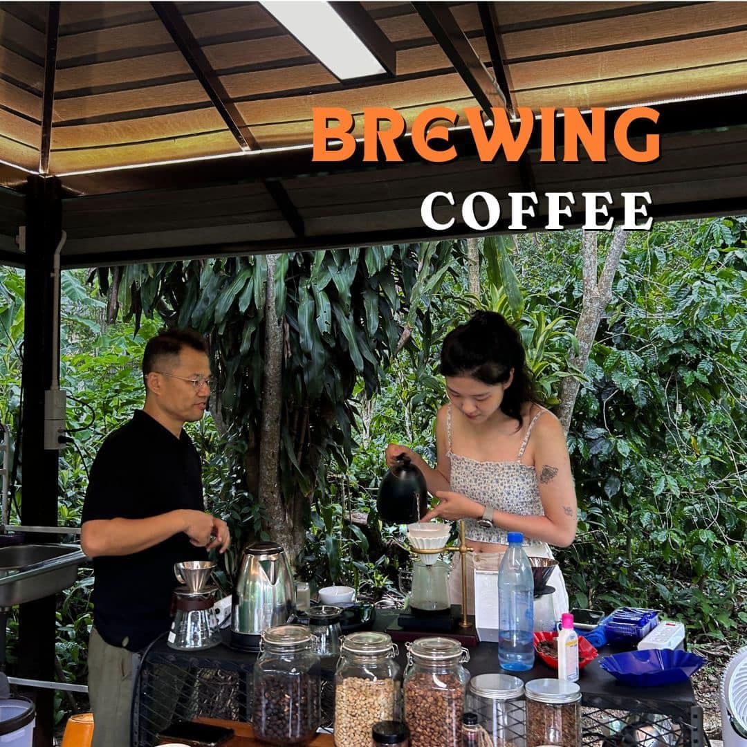 Chiang Mai Organic Coffee Farm Tour by ZEIT Roaster