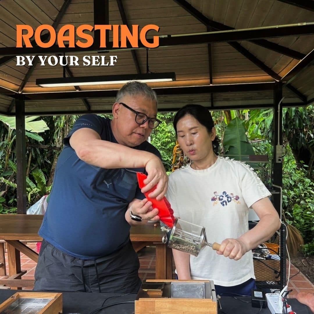 Chiang Mai Organic Coffee Farm Tour by ZEIT Roaster