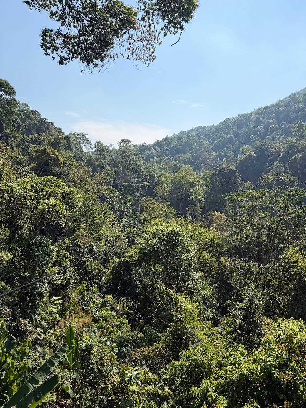 Chiang Mai Sky Hawk Zipline