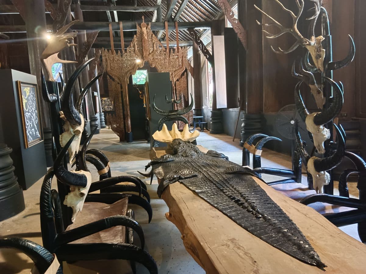 Tour giornaliero di Chiang Rai da Chiang Mai: sorgenti termali, Wat Rong Suea Ten, Tempio Bianco, Black House Museum, villaggio delle donne dal collo lungo