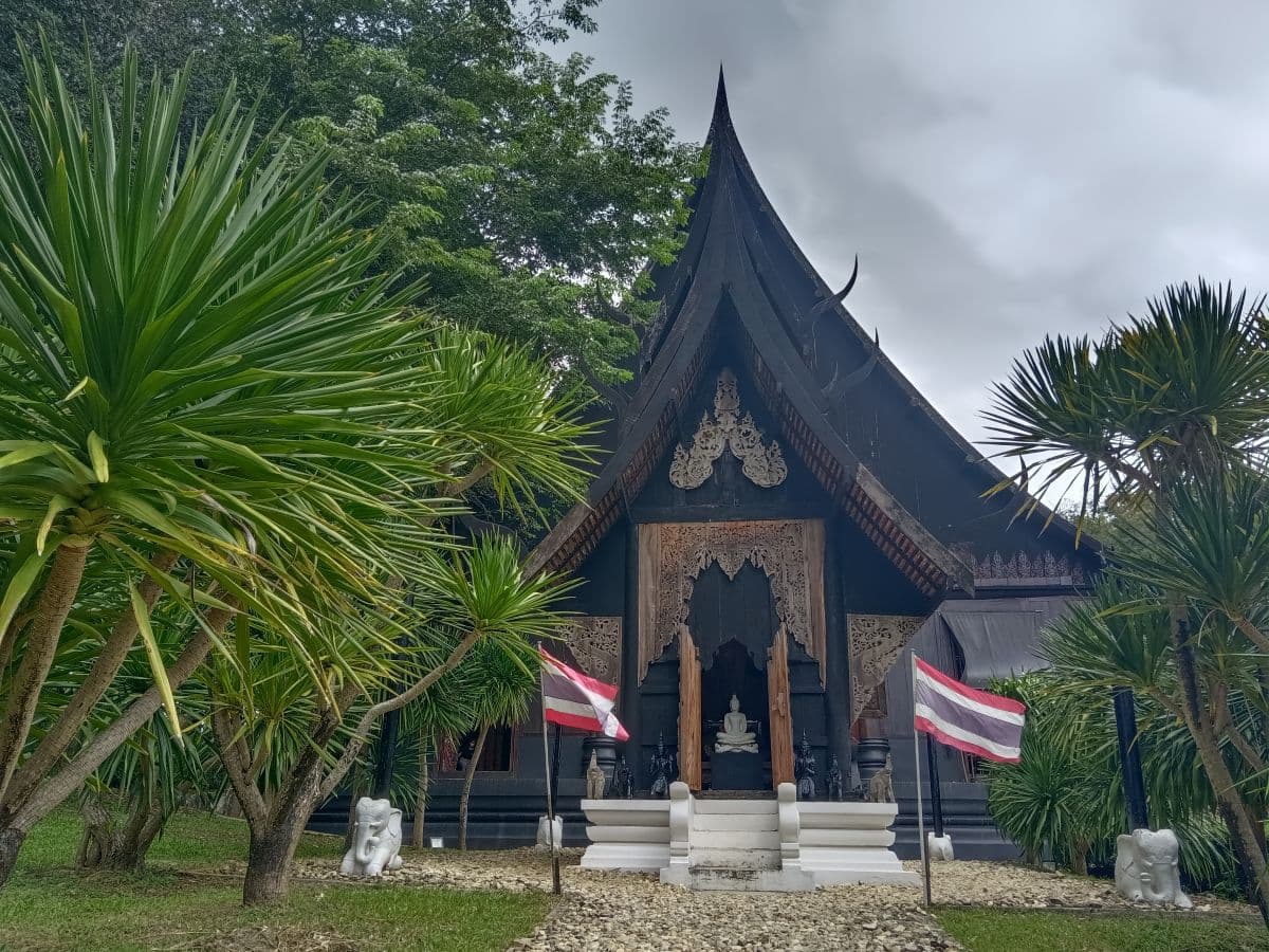 Tour giornaliero di Chiang Rai da Chiang Mai: sorgenti termali, Wat Rong Suea Ten, Tempio Bianco, Black House Museum, villaggio delle donne dal collo lungo