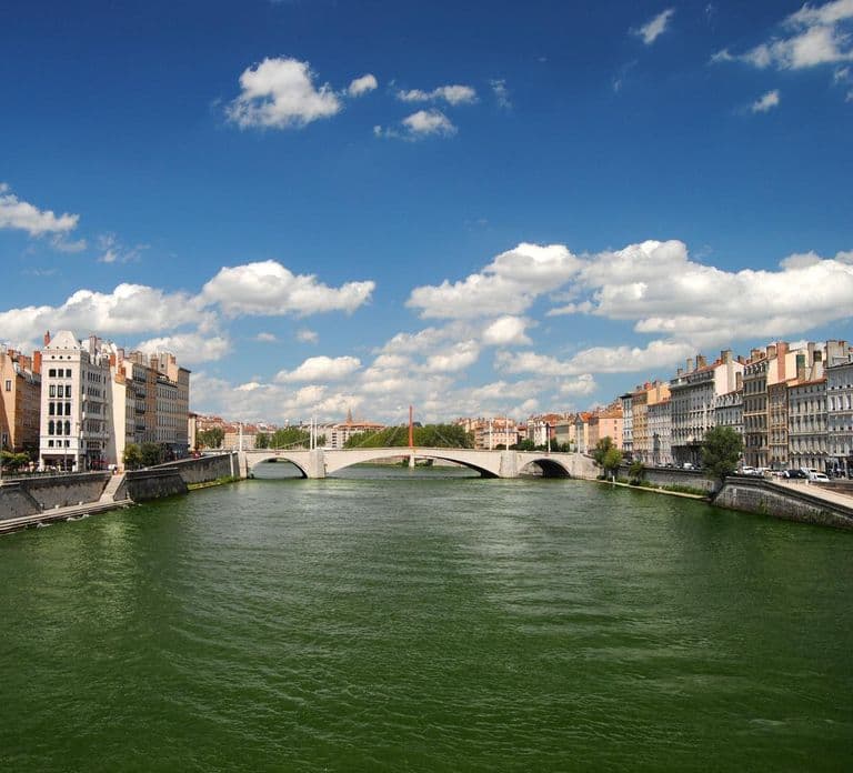 Lyon City Card: Trasporti Pubblici e Oltre 40 Attrazioni