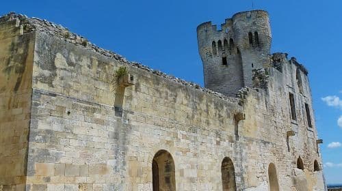 Abbaye de Montmajour