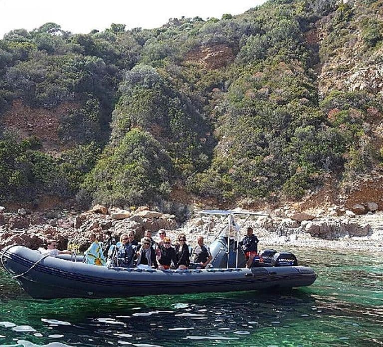 Ajaccio/Porticcio: Passeio de um dia em barco semirrígido por Scandola e Piana