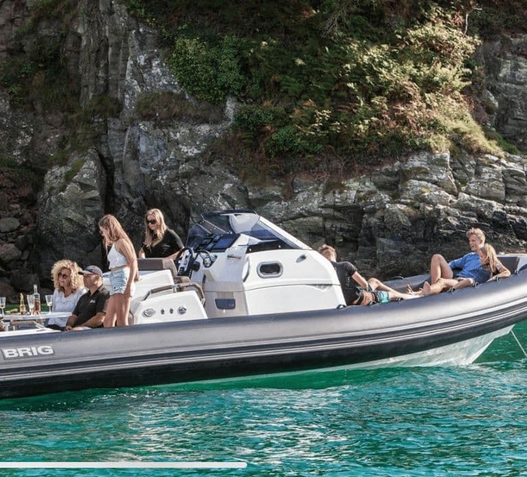 Ajaccio/Porticcio: Passeio de um dia em barco semirrígido por Scandola e Piana