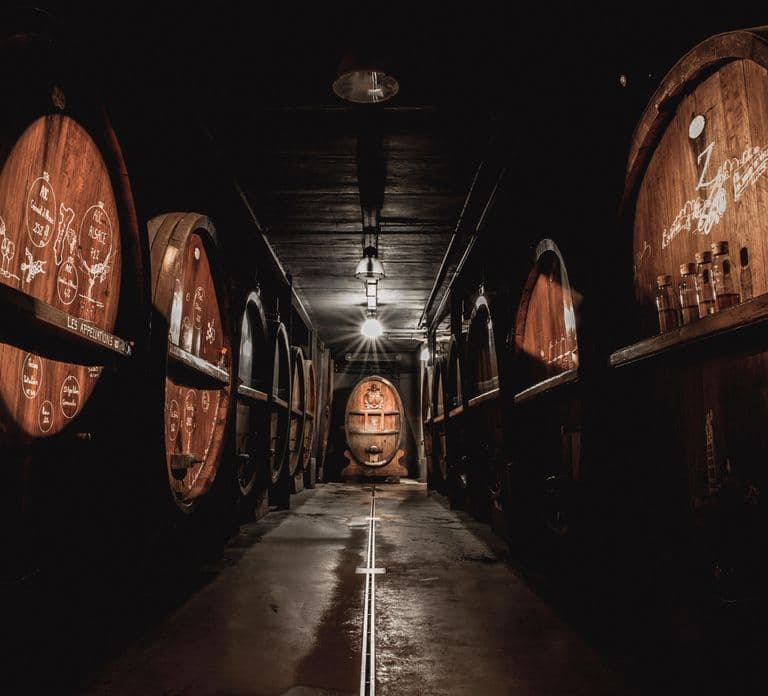 Alsace: Cata de vinos guiada y visita a la bodega