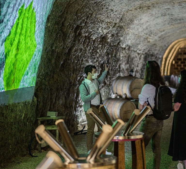 Amboise: Caves Ambacia Visit and Wine Tasting