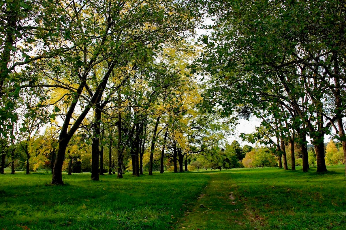 Arboretum de Versailles-Chevreloup