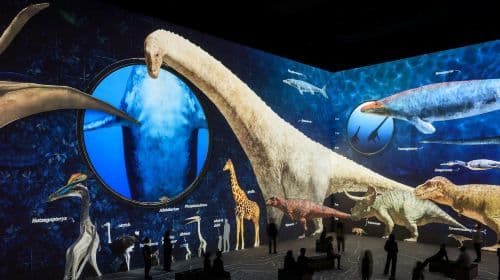 Atelier des Lumieres